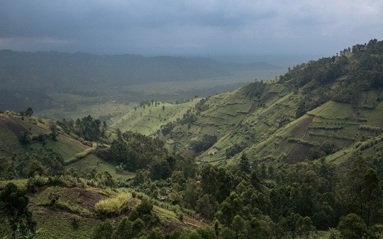襲擊事件發生在北基伍省維龍加國家公園。（圖源：AFP）