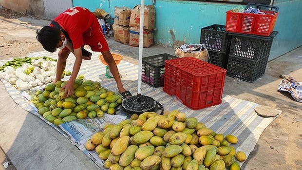 疫情期間謀生難 ảnh 2