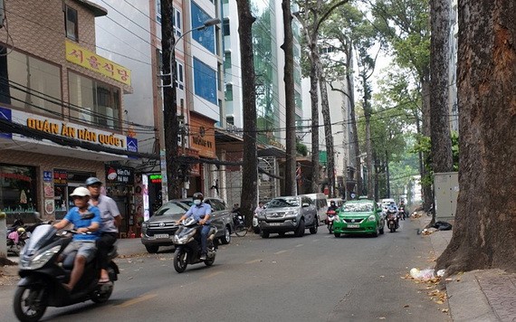 圖為第一郡裴氏春街。（圖源：田升）