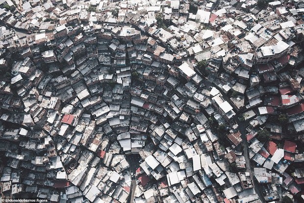 黃金橋照片奪得建築攝影大獎 ảnh 1