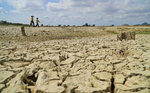 平順省的重要水利庫乾涸露出龜裂湖底。（圖源：越國）