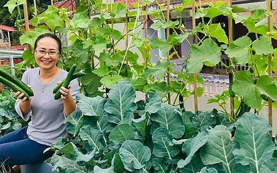 （示意圖源：互聯網）