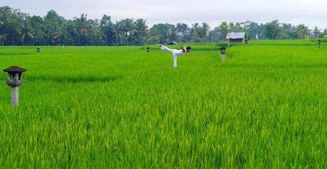 美麗如夢酒店疫境後期望接待遊客 ảnh 2