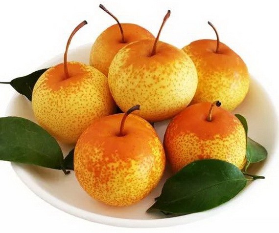 梨子。（圖源：互聯網）