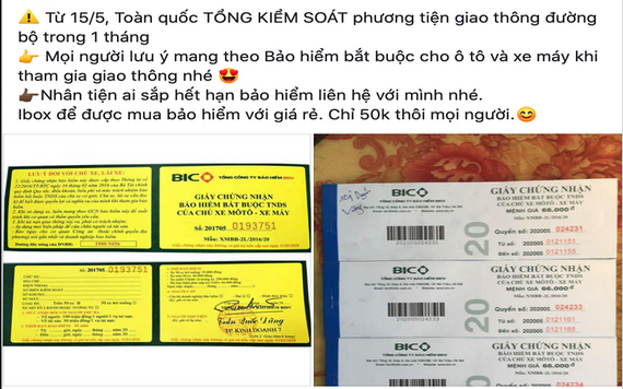 慎購網上不明車輛保險。（圖源：網站截圖）