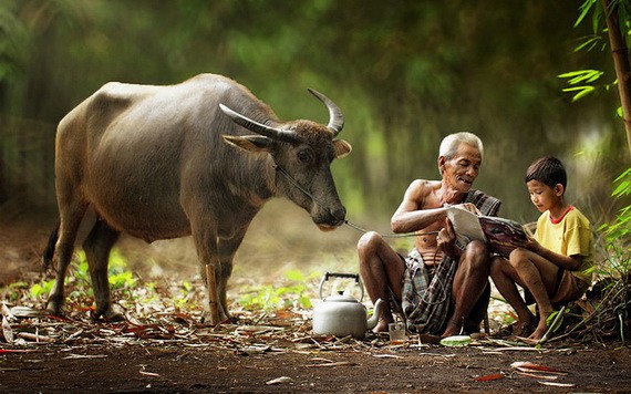 （示意圖源：互聯網）