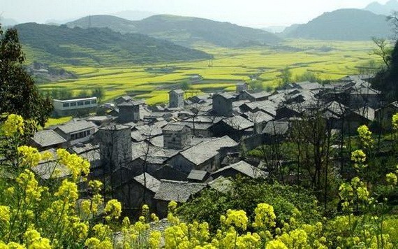 中國貴州雲山屯