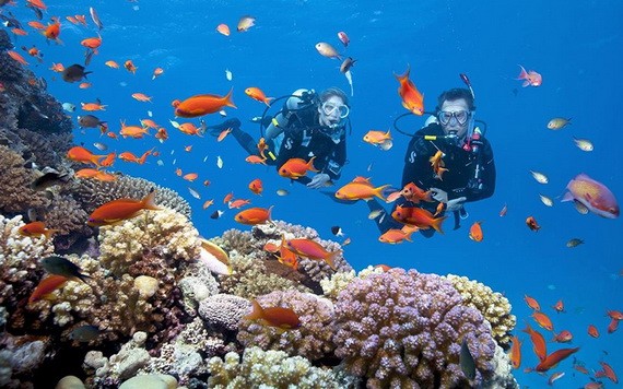 海洋旅遊仍是旅行社重點開發的旅遊方式。（圖源：田升）