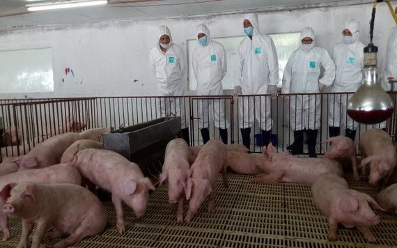 （示意圖源：互聯網）