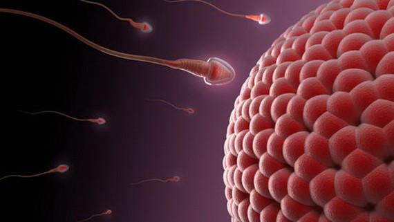 精子越「老」越健康?