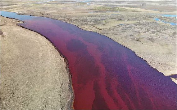 俄羅斯2萬噸柴油洩漏致河水被染紅。(圖源:互聯網)