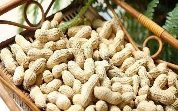 （示意圖源：互聯網）