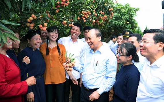 阮春福總理(前右三)同北江省米脂荔枝產量最多地區的同胞交流。(圖源:VGP)