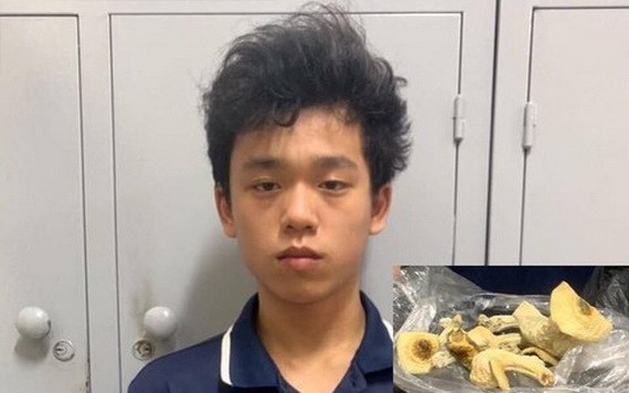 被捕的嫌犯阮陳俊方與“迷幻蘑菇”的毒品物證(小圖)。(圖源:警方提供)