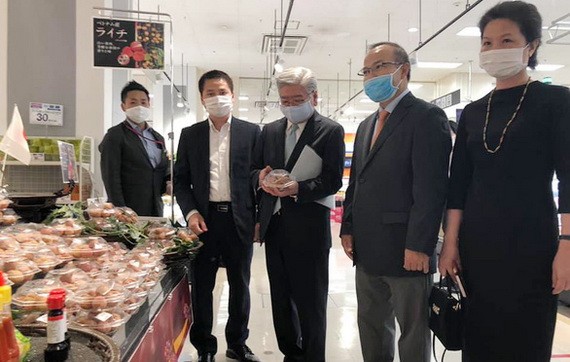 越南駐日大使館領導推介荔枝。(圖源:秋芳)