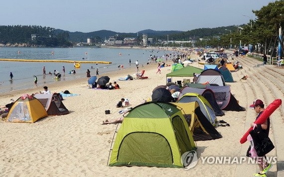 泰安郡萬里浦海水浴場人潮湧動。