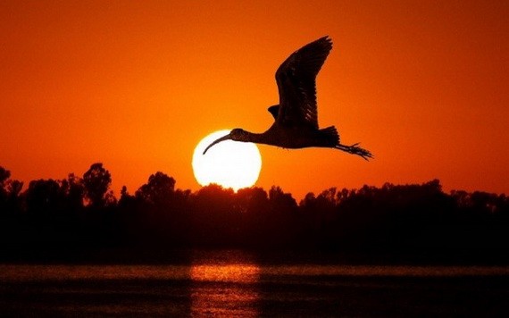 （示意圖源：互聯網）