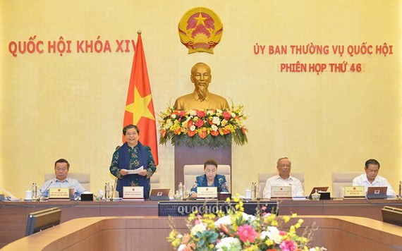 國會常務副主席從氏放(左二)主持會議。(圖源:Quochoi.vn)