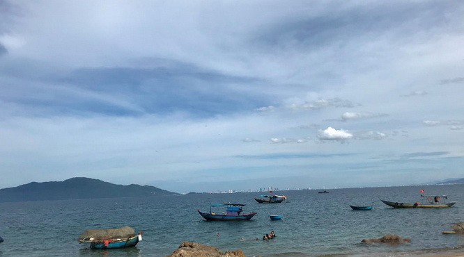 寵草海灘是峴港灣的神秘荒野天堂 ảnh 1 寵草海灘是峴港灣的神秘荒野天堂 ảnh 1