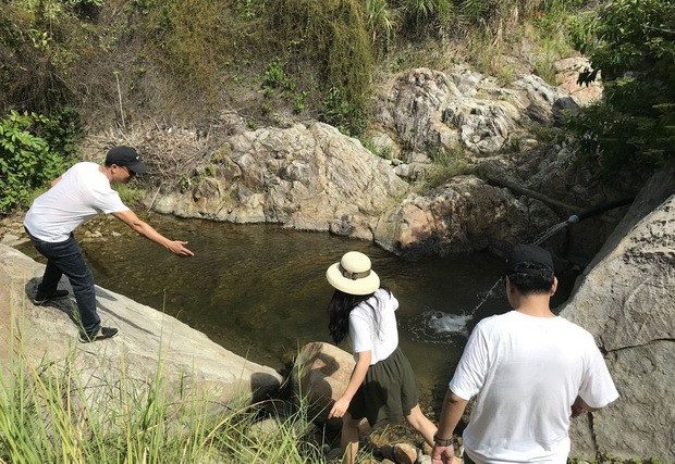 寵草海灘是峴港灣的神秘荒野天堂 ảnh 2 寵草海灘是峴港灣的神秘荒野天堂 ảnh 2