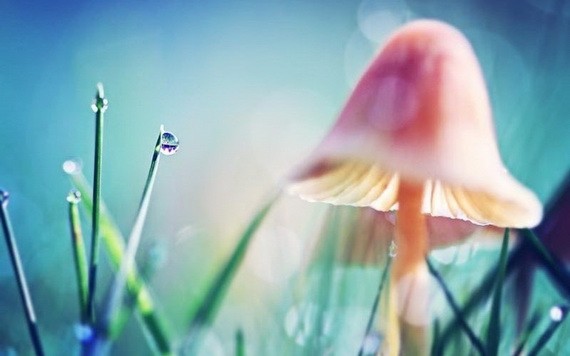 （示意圖源：互聯網）