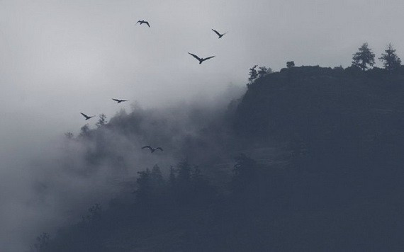 （示意圖源：互聯網）