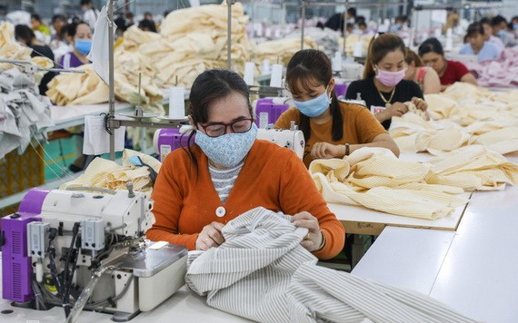 （示意圖源：瓊陳）