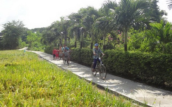 圖為前江省鵝貢東縣新東鄉NTM聯鄉路一瞥。（圖源：黃南）