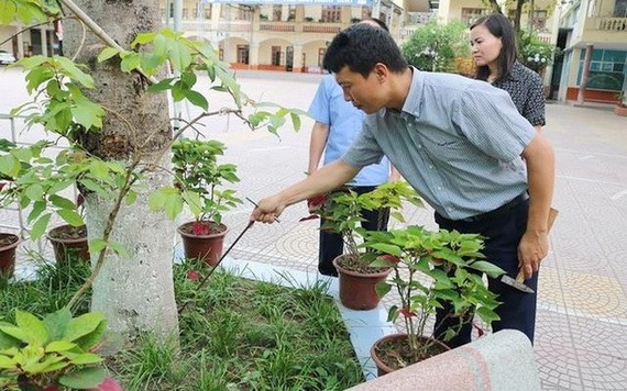 老師給校園內樹木做“體檢”。（圖源：丁玄）