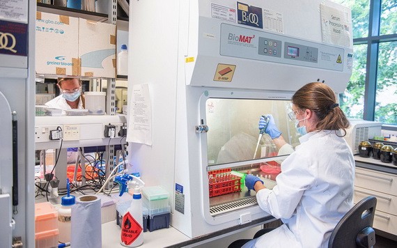 科學家團隊正在研發安全、有效的新冠疫苗方面取得積極進展。（圖源：Getty Images）