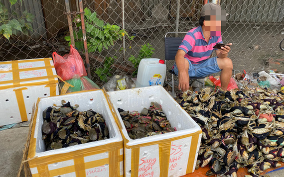 圖為守德郡13號國道旁擺賣的螃蟹。（圖源：勞動者報）