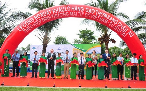 天祿集團向歐洲出口首批香米公佈儀式。（圖源：N.N）