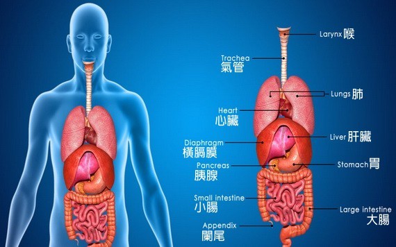 （示意圖源：互聯網） 