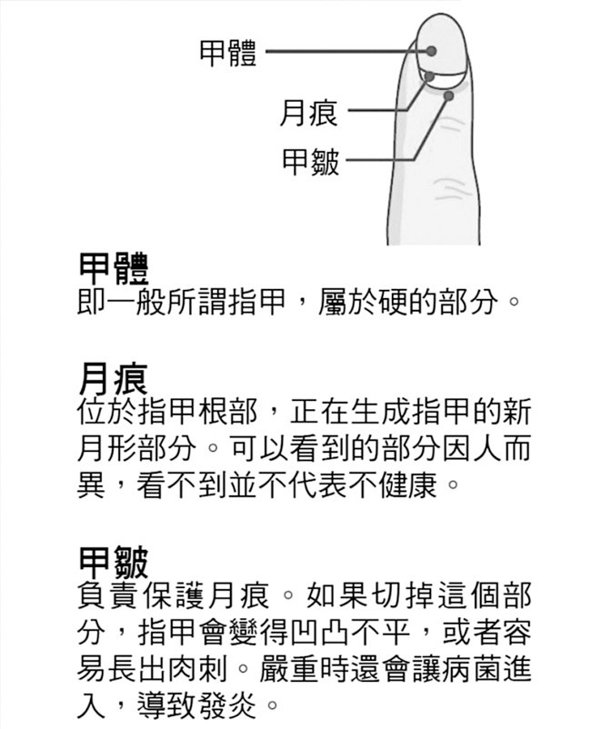 14 種指甲異常 暗示你身體出問題