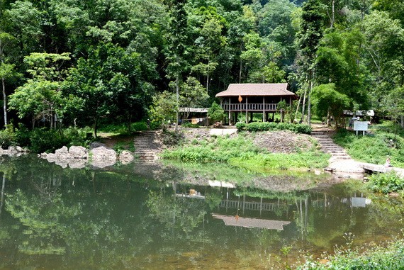 大樹林裡的高腳屋。