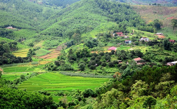 到山洞遊山玩水 ảnh 1