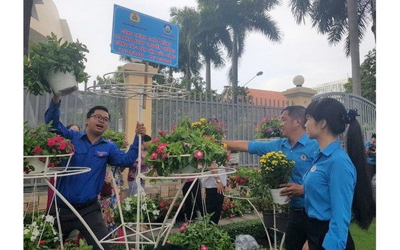 共青團員在佈置盆栽。