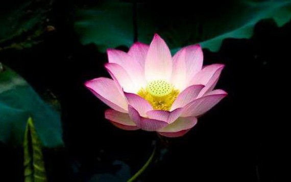 （示意圖源：互聯網） 