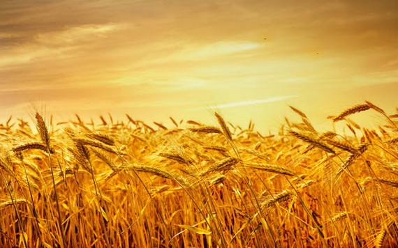 （示意圖源：互聯網） 