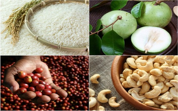 （示意圖源：互聯網） 