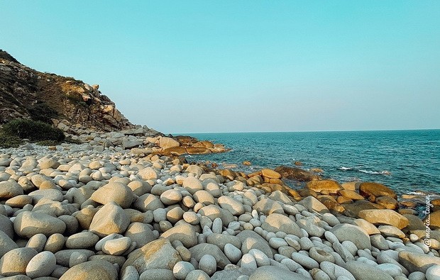 金蘭灣遊玩飲食天堂 ảnh 1