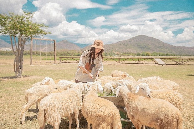 金蘭灣遊玩飲食天堂 ảnh 2