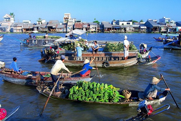 別錯過南部西區水漲季節６個景點 ảnh 1