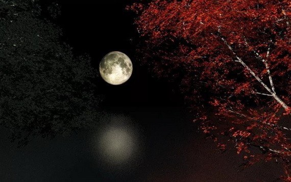 （示意圖源：互聯網） 