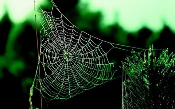 （示意圖源：互聯網） 