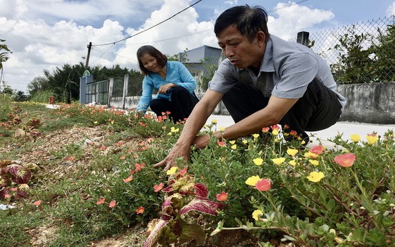 杜明雄同民眾在第四、第五組跨組花街拔草。