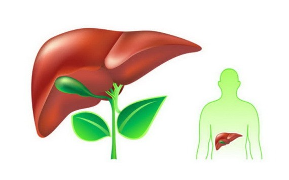 （示意圖源：互聯網） 