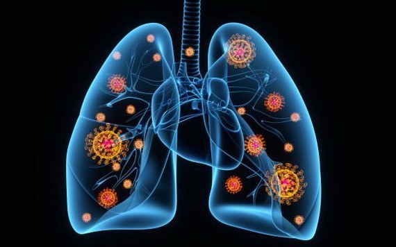 （示意圖源：互聯網） 