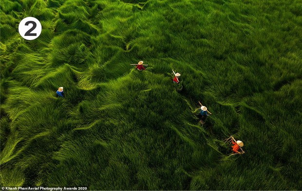 ２０２０年航空攝影大獎：多張作品攝於越南 ảnh 2