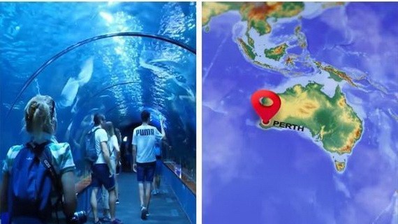 西澳大利亞的水族館